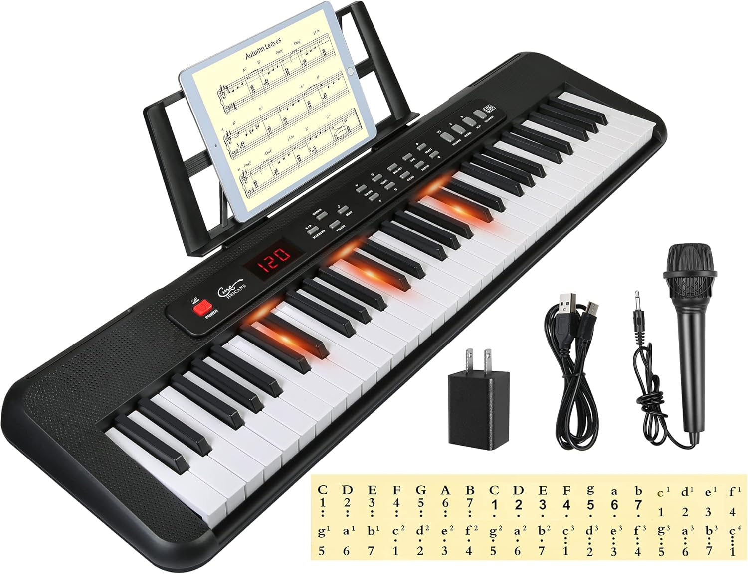 Hricane 61 Key Piano Keyboard for Beginners with Lighted Keys, Full-Size Keys Electronic Keyboard Piano for Adults Music Keyboard Piano Power by USB or Battery with Microphone and Key Note