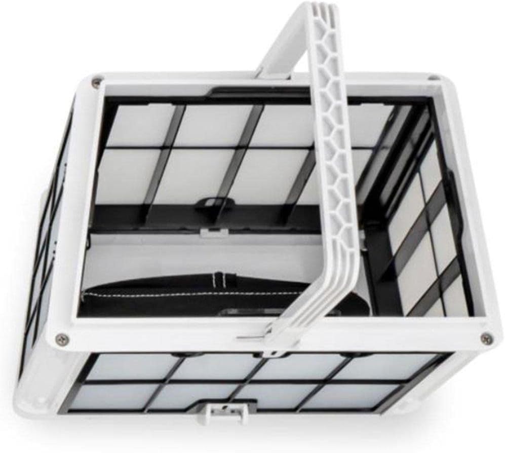 DOLPHIN Proteus DX3 Automatic Robotic Pool Cleaner, The Quick and Easy Way to a Clean Pool, Ideal for In - ground Swimming Pools up to 33 Feet