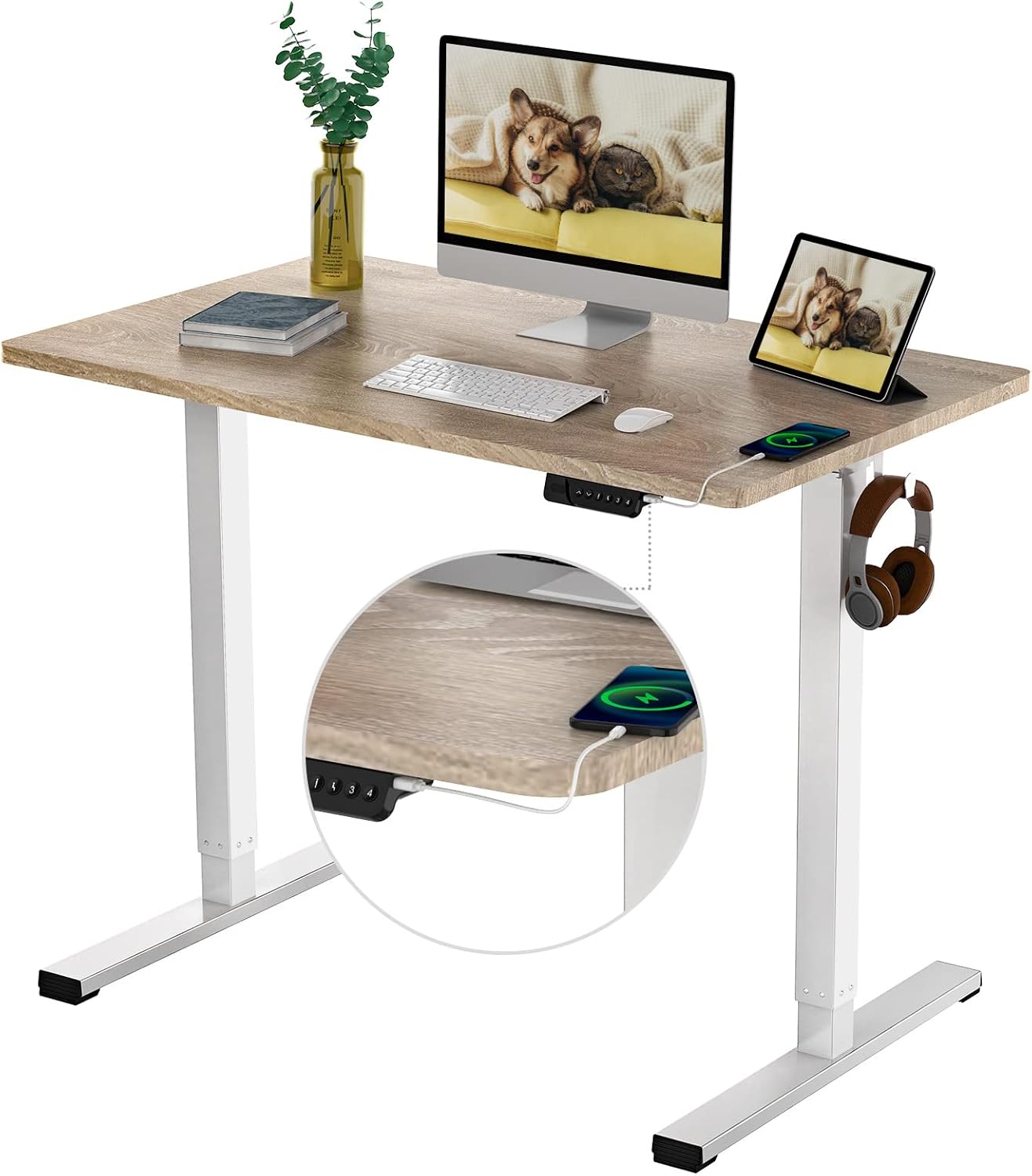 FLEXISPOT Quick Install Standing Desk EC9 Electric Height Adjustable Desk for Home Office 48 x 24 Inches Sit Stand Desk Whole-Piece Desk Board VICI(White Frame + 48