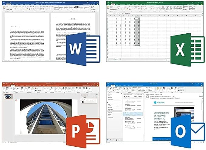 Office 2019 Professional Plus | Lifetime License Validity | for 1 PC| 32/64-bit | PC,one-time Purchase Pack of 2