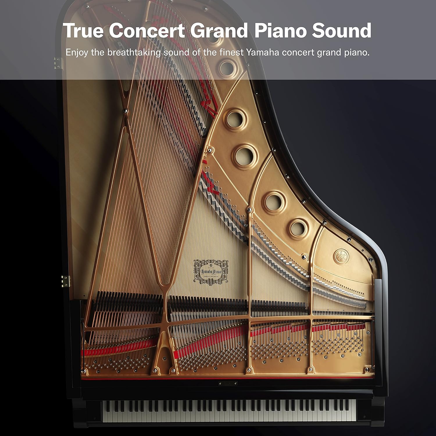 Yamaha P45 88-Key Weighted Digital Piano