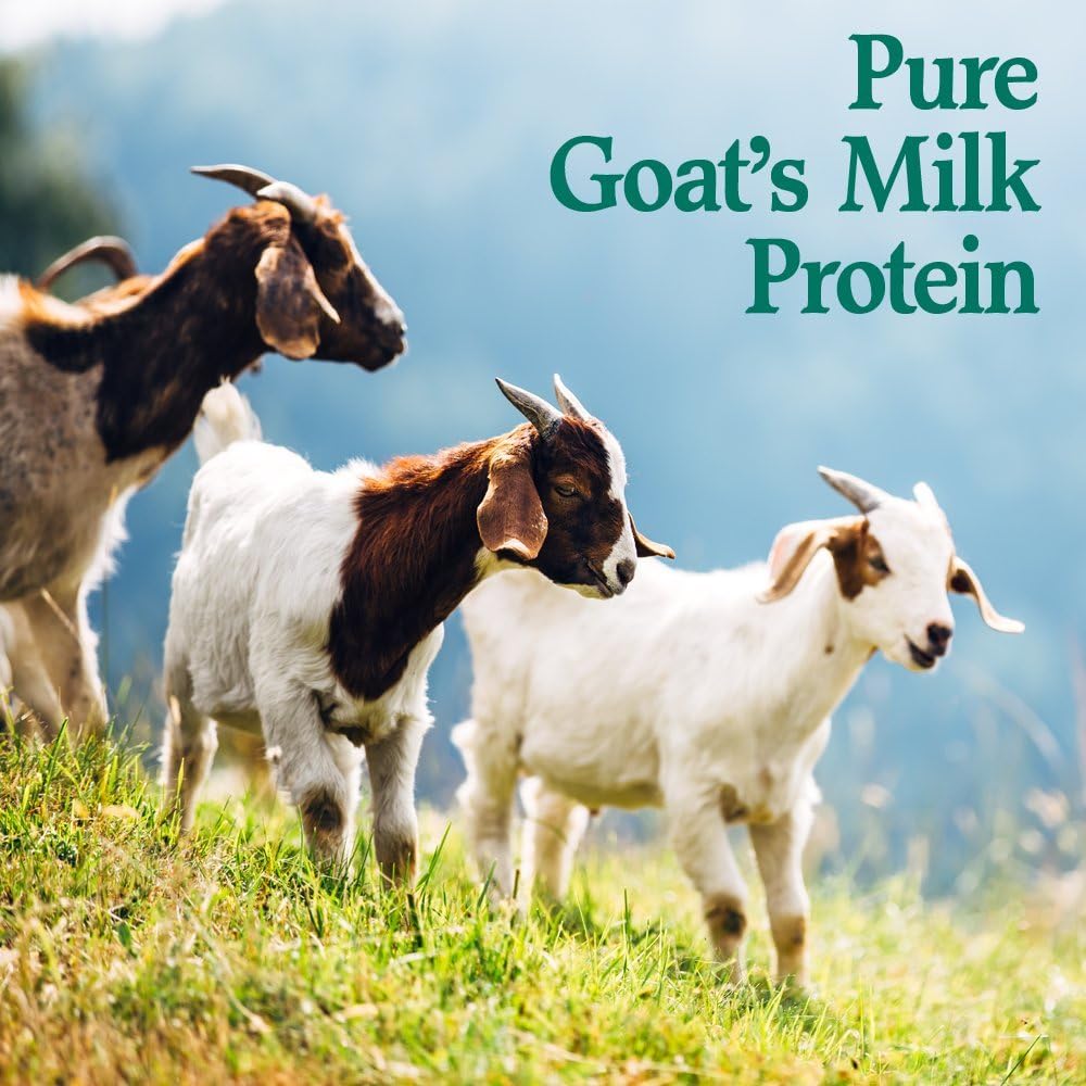 Garden of Life Goat Protein Powder - Goatein Pure Goat's Milk Protein Powder, 13g Complete Protein & 5g Carbs per Serving, Gluten Free, 22 Servings, 15.5 Ounce Pack of 2