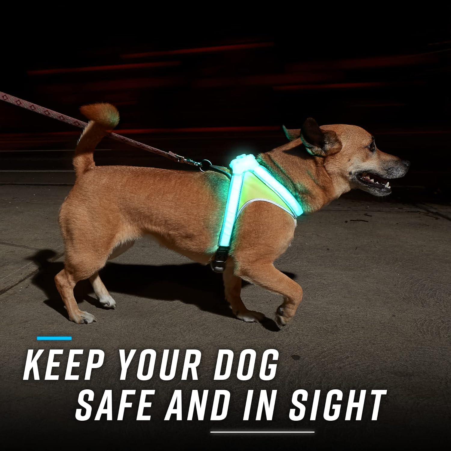 noxgear LightHound - Multicolor LED Illuminated, Reflective Dog Harness (Medium) Pack of 2