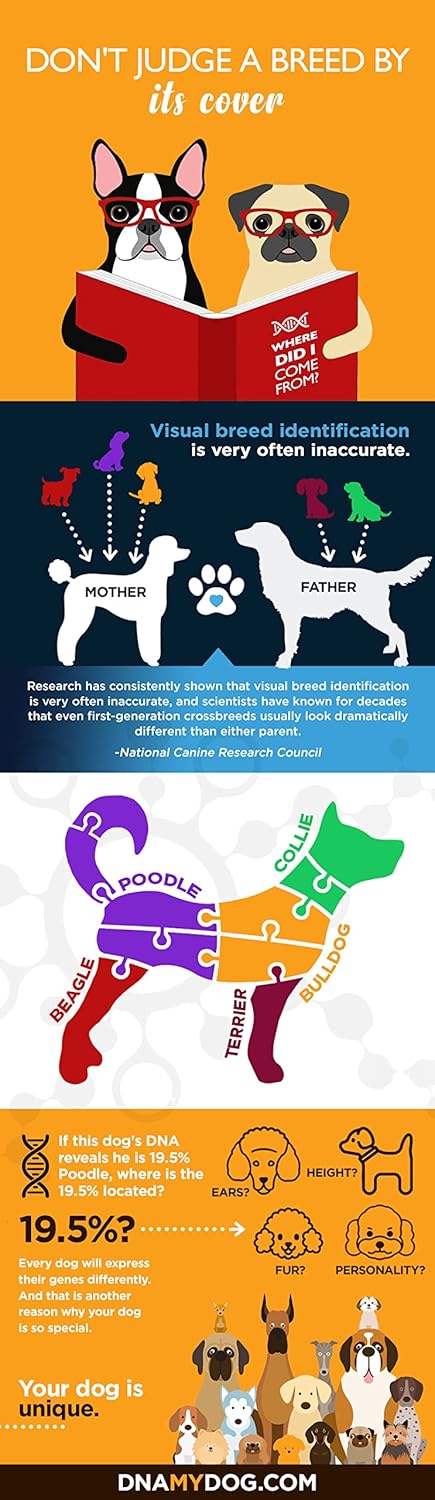Dna My Dog Canine Breed Identification Test Pack of 2