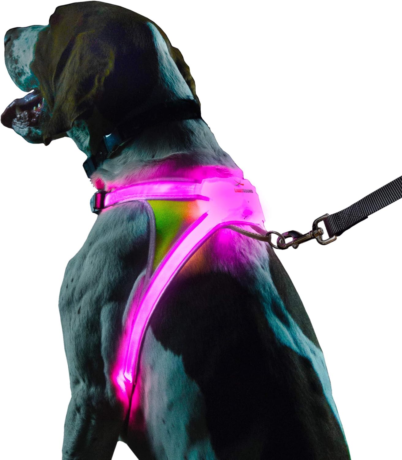 noxgear LightHound - Multicolor LED Illuminated, Reflective Dog Harness (Medium) Pack of 2
