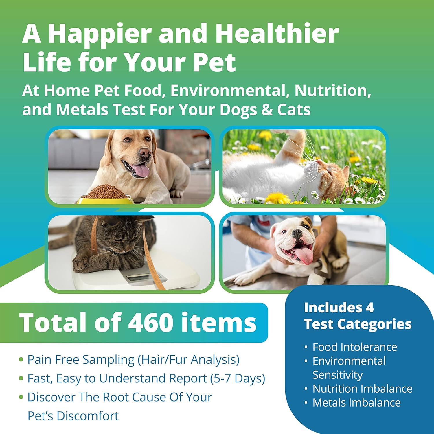 5Strands Pet Health Test: Food Intolerance, Environment Intolerance, Nutrition, Metals and Minerals - at Home Dog or Cat Hair Sample Collection Kit, Results in 7 Days Works for All Ages and Breeds