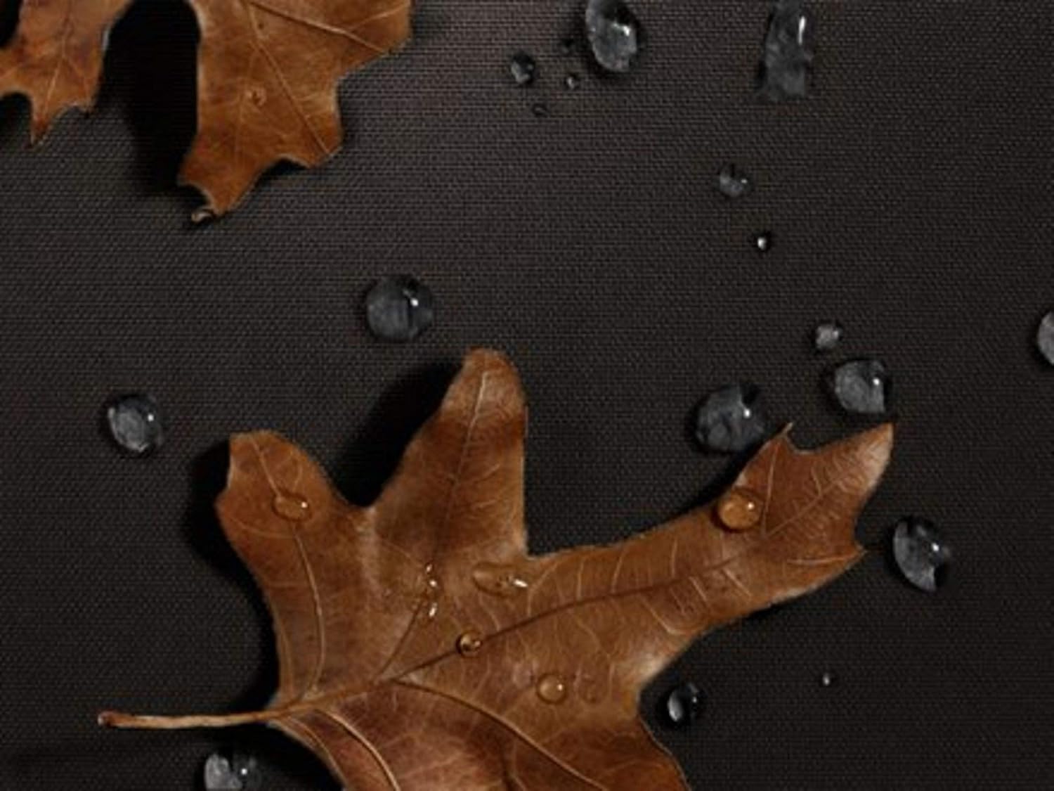 Covermates Contour Fit Car Cover - Heavy-Duty Polyester, Mesh Vent, Elastic Hem, Vehicle Covers-Black