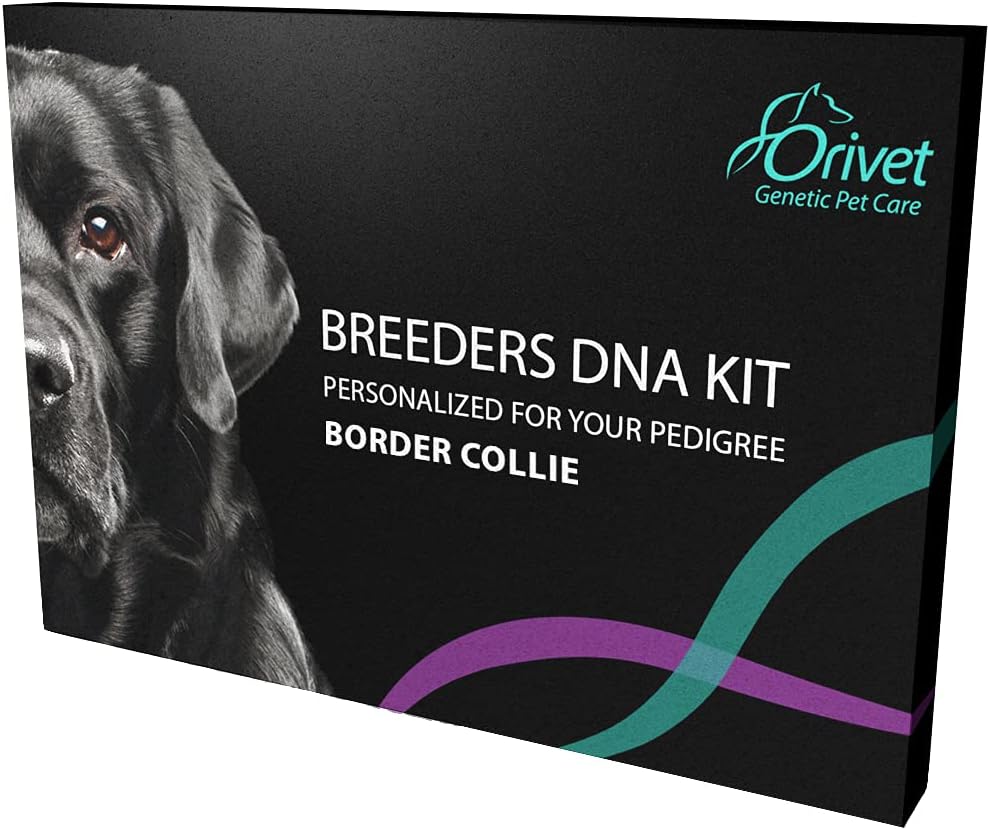 ORIVET Border Collie Full Breed Profile Dog DNA Test Kit Comprehensive Health and Trait Screen