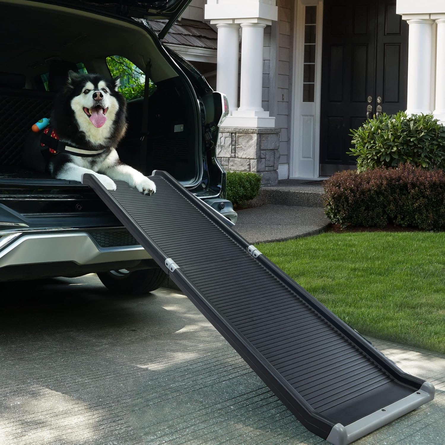 COZIWOW Upgrade Folding Pet Ramp, Portable Dog Ramp for Cars,High SUV Trucks, Steel Frame for Extra Stability, Portable Stairs Ladder with Side Rails High Traction, 63