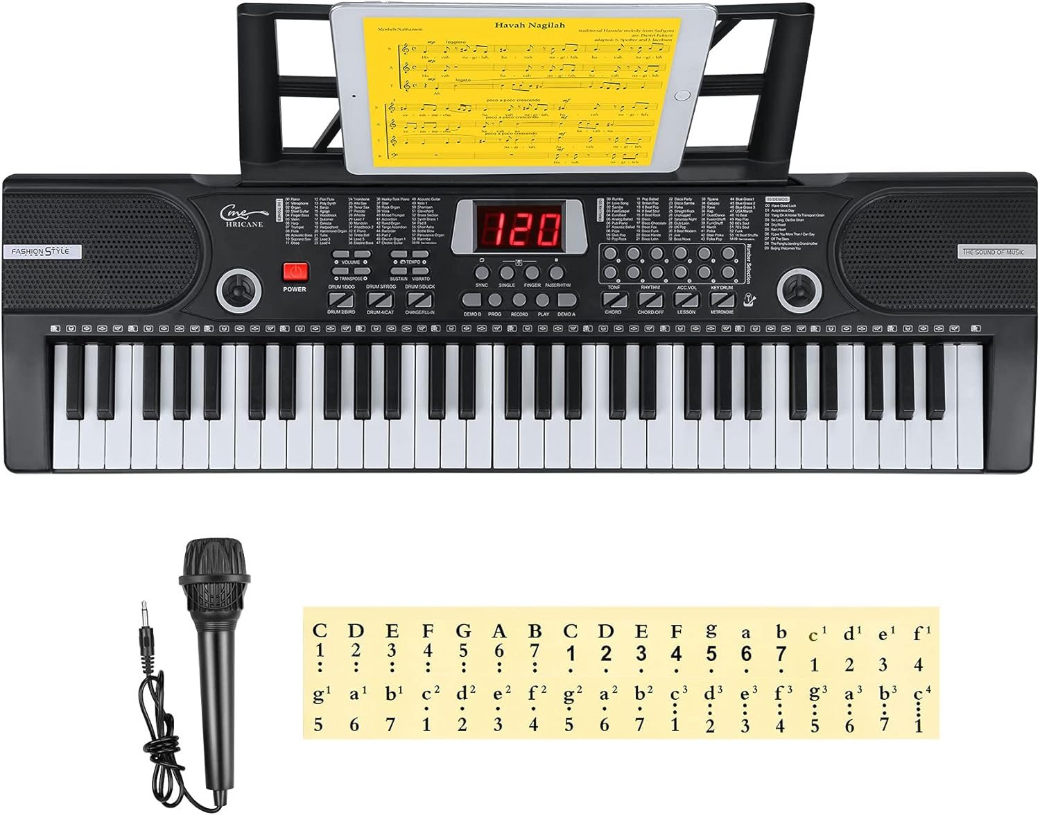 Hricane 61 Key Piano Keyboard for Beginners with Lighted Keys, Full-Size Keys Electronic Keyboard Piano for Adults Music Keyboard Piano Power by USB or Battery with Microphone and Key Note