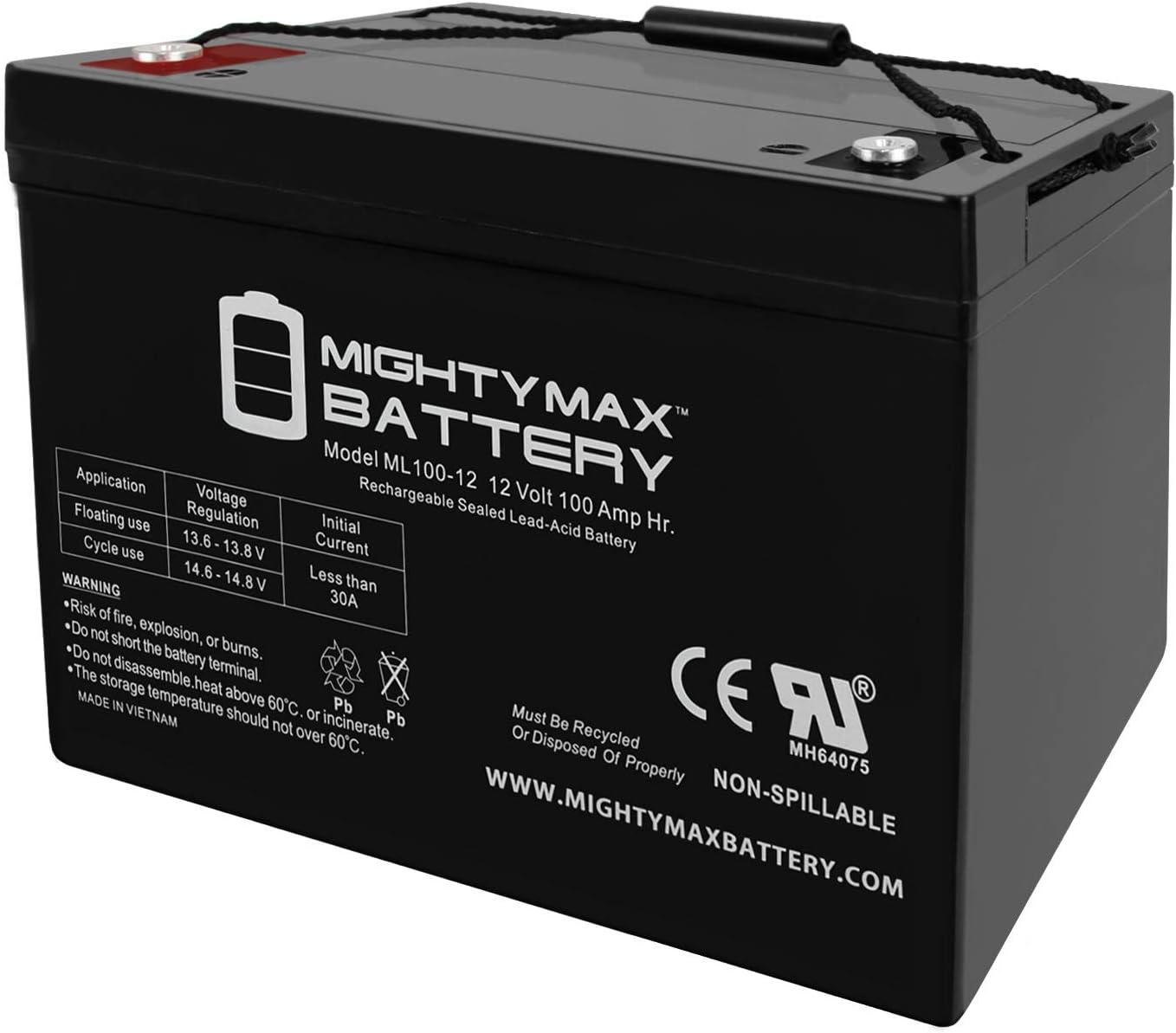 12V 100AH SLA Battery