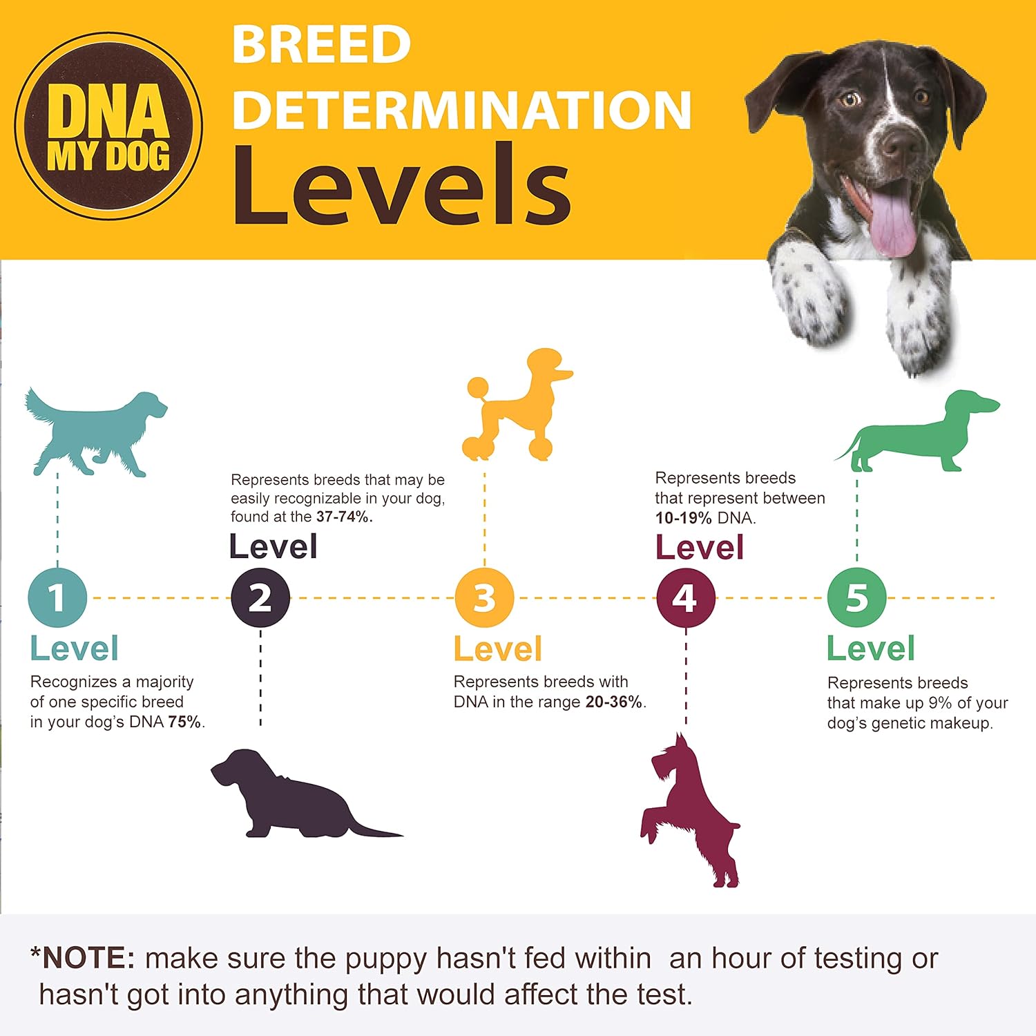 Dna My Dog Canine Breed Identification Test Pack of 2