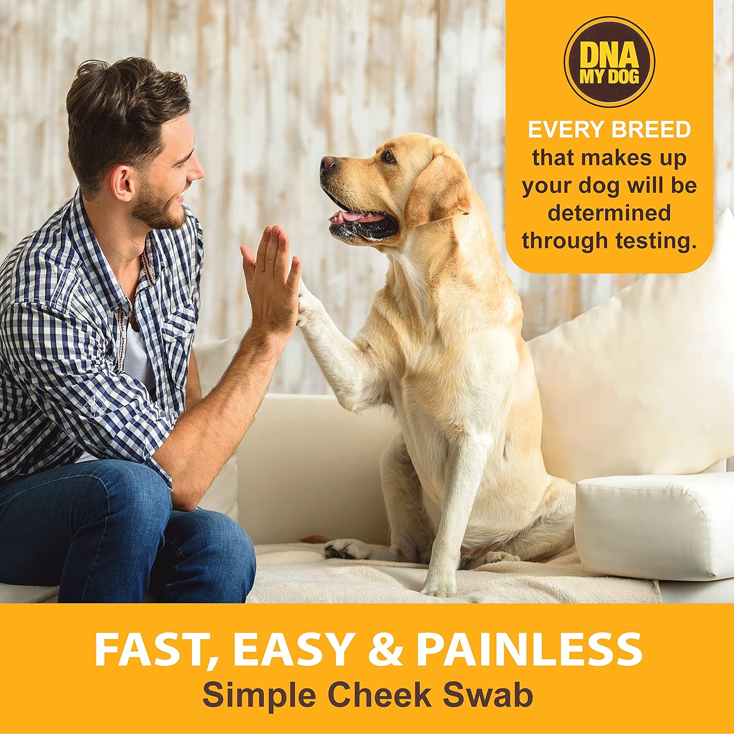 Dna My Dog Canine Breed Identification Test Pack of 2