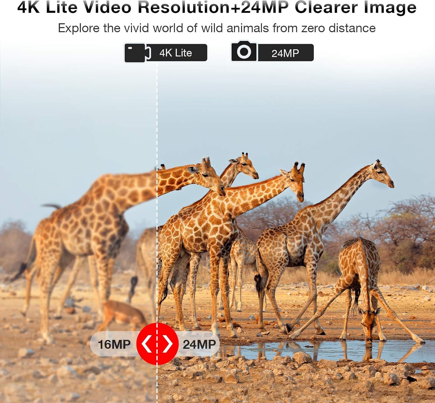 WiFi Trail Camera 4K 24MP Bluetooth Hunting Game Camera with Night Vision 82ft Motion Activated IP66 Waterproof, 0.2s Trigger Speed Pack of 2