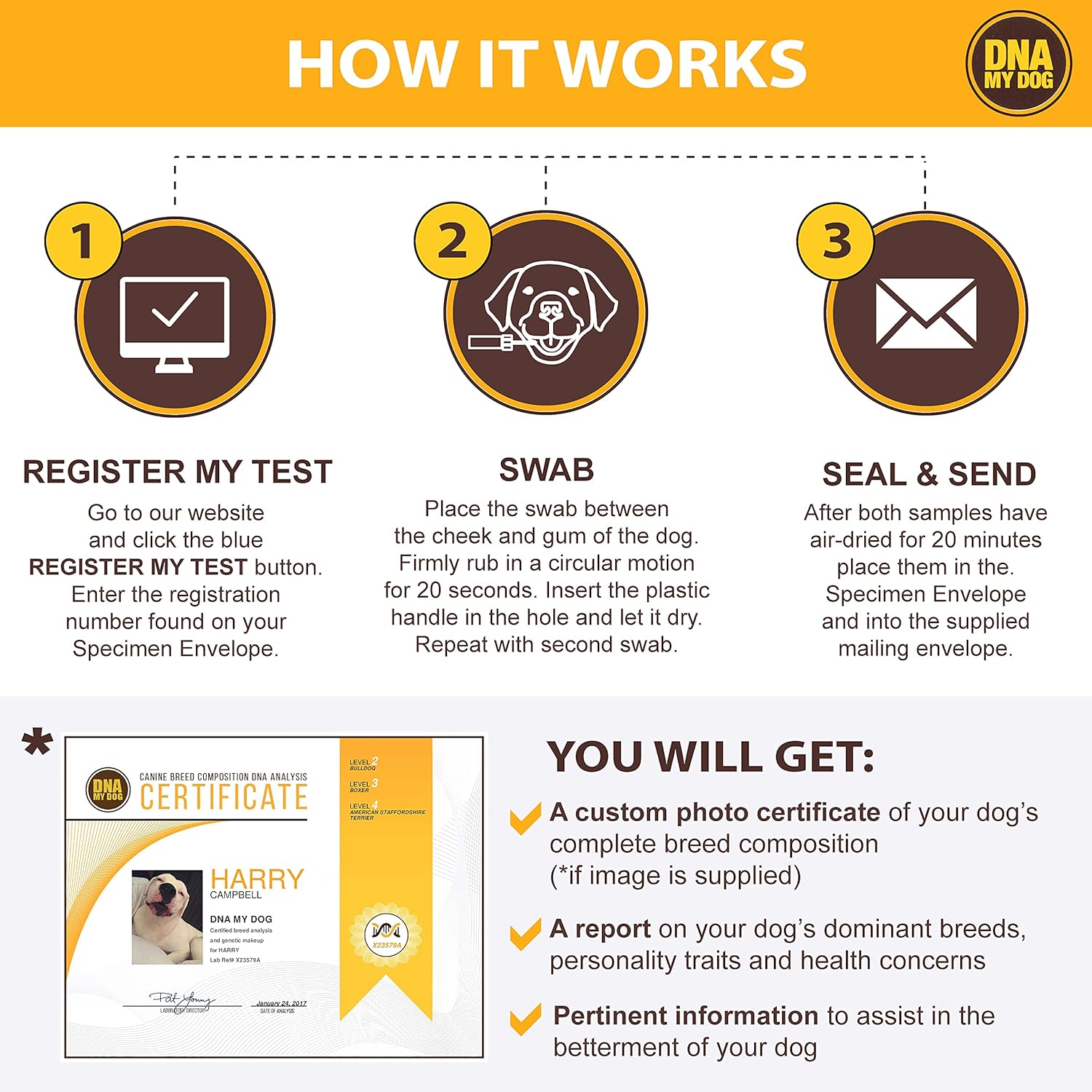 Dna My Dog Canine Breed Identification Test Pack of 2