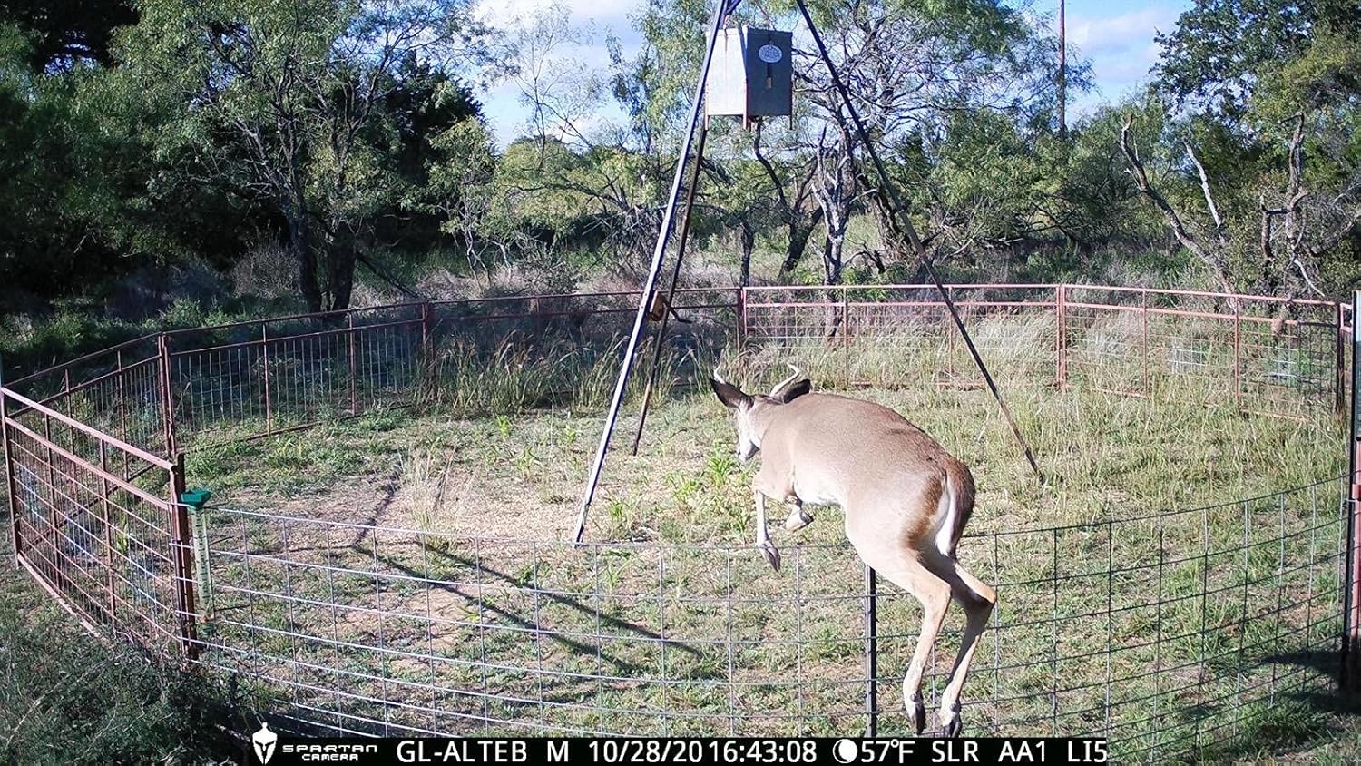 Spartan GoLive Next Generation Cellular Scouting Camera with Steel Reinforced Strap (Verizon 4G/LTE)