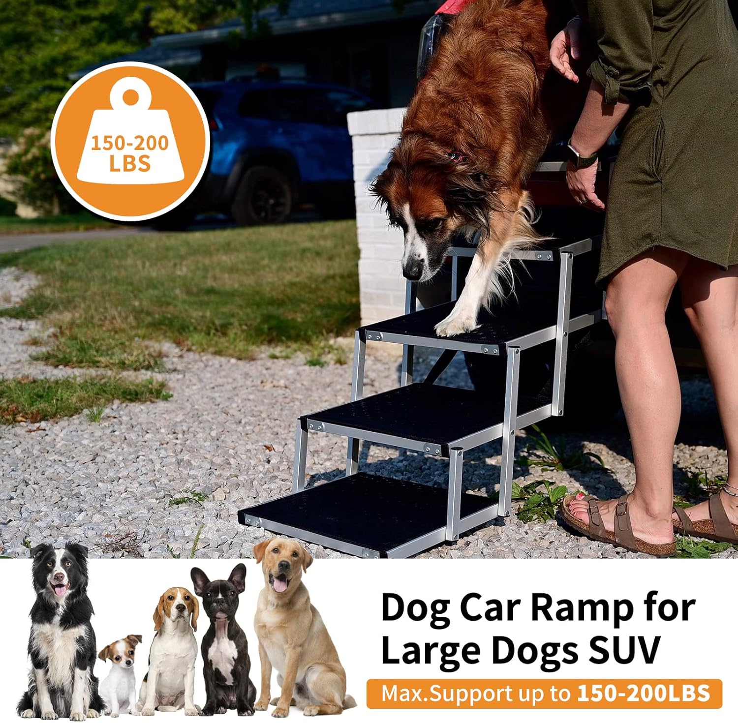 Dog Car Ramp for Large Dogs, LOOBANI Lightweight Dog Stairs Support up to 200lbs, Folding Dog Ramp with Increased Nonslip Surface, Pet Ramp Help Your Senior Dog Easy Get In & Out of SUV, Truck 6 Steps