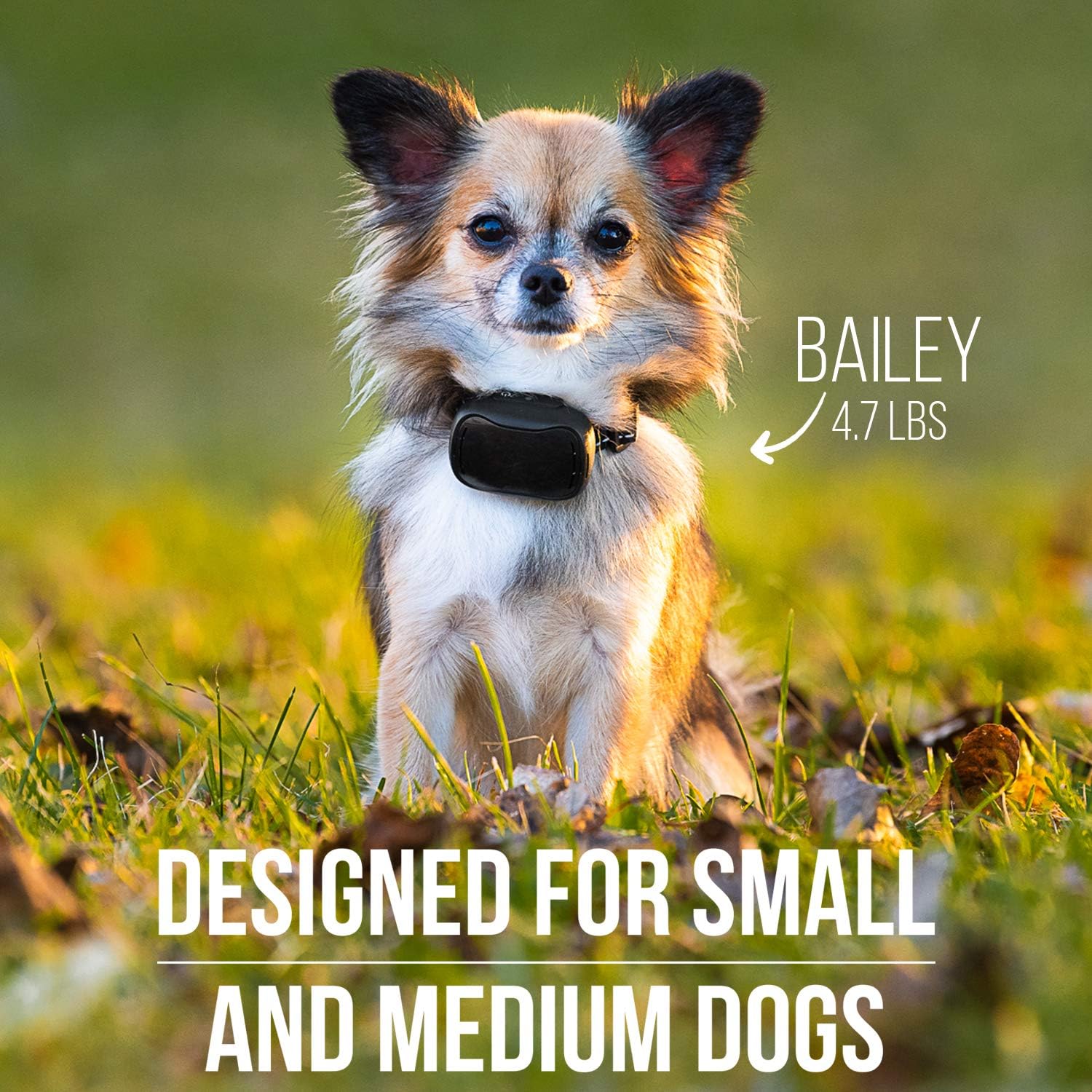 GoodBoy Dog Remote Collar with Improved & Humane Training Modes and 2700ft Range - for Small, Medium and Large Dogs Pack of 2