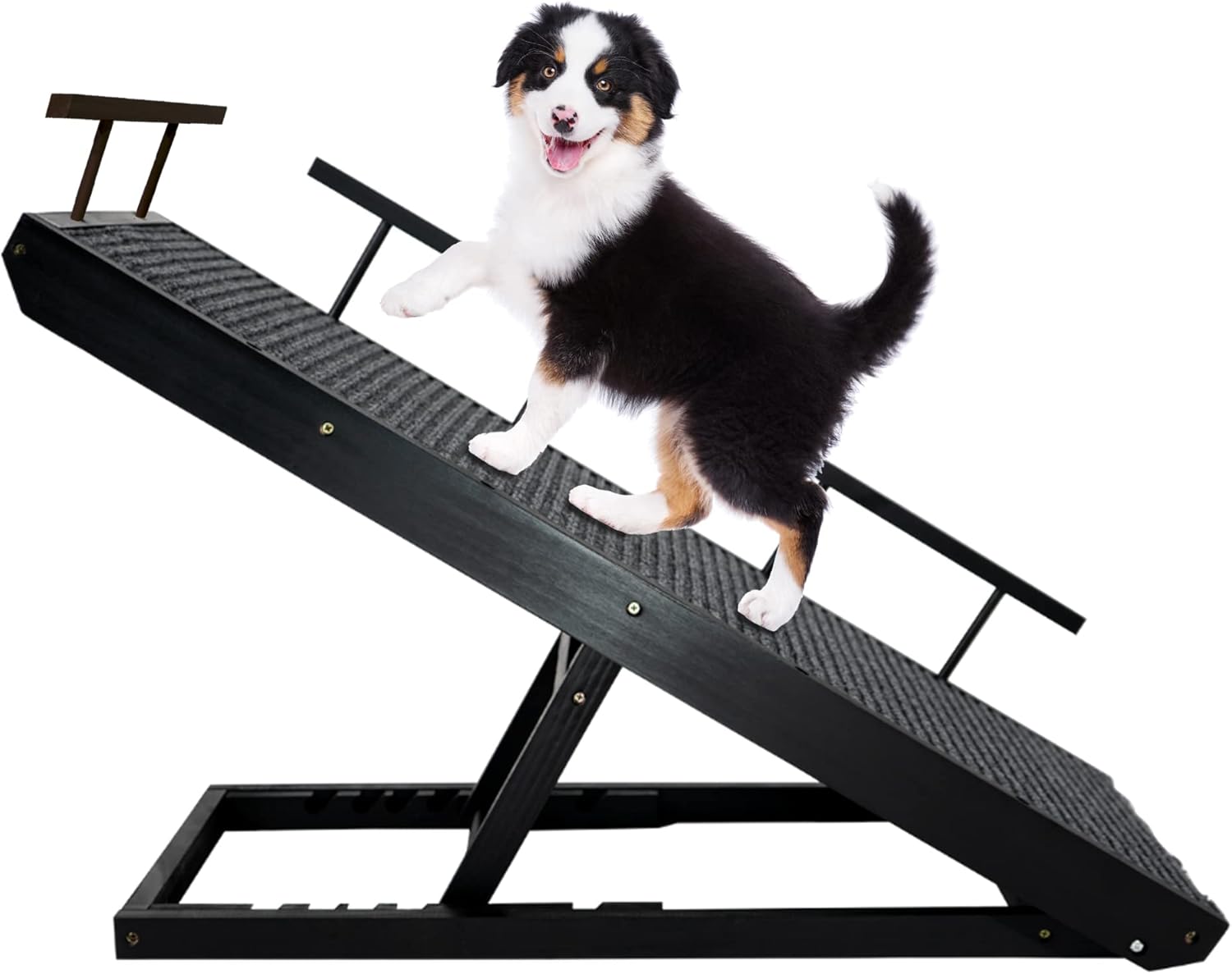 Rampaw Adjustable Pet Ramp for Small Dogs and Cats - for Couch or Bed with Paw Non Slip Traction Mat, Adjustable Height from 12 to 24 in - Sturdy, with Safety Side Rails, Dog Training Manual (Black) Pack of 2