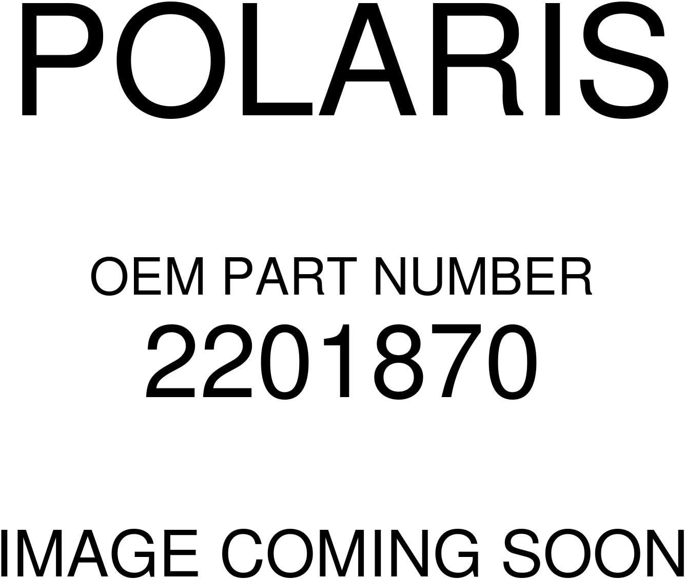 Polaris OEM Rear Brake Slide Bolt Kit 2001-2019 Sportsman Scrambler 400 500 600 700 2201870 Pack of 2