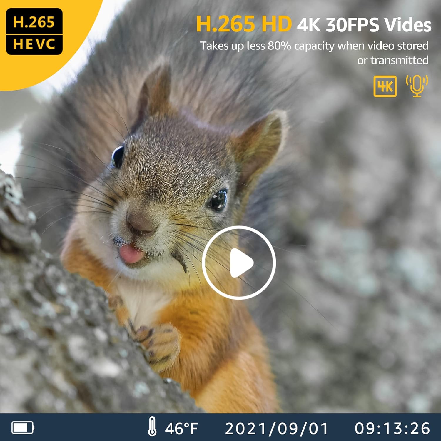 4K 30MP 30FPS Trail Camera Game Camera, Helidallr Wireless Wi-fi Bluetooth Trail Cam with 120° Angle Game Cam 0.1S Triggle Night Vision with 36pcs IR Lights 65ft IP66 Waterproof with 64GB Card