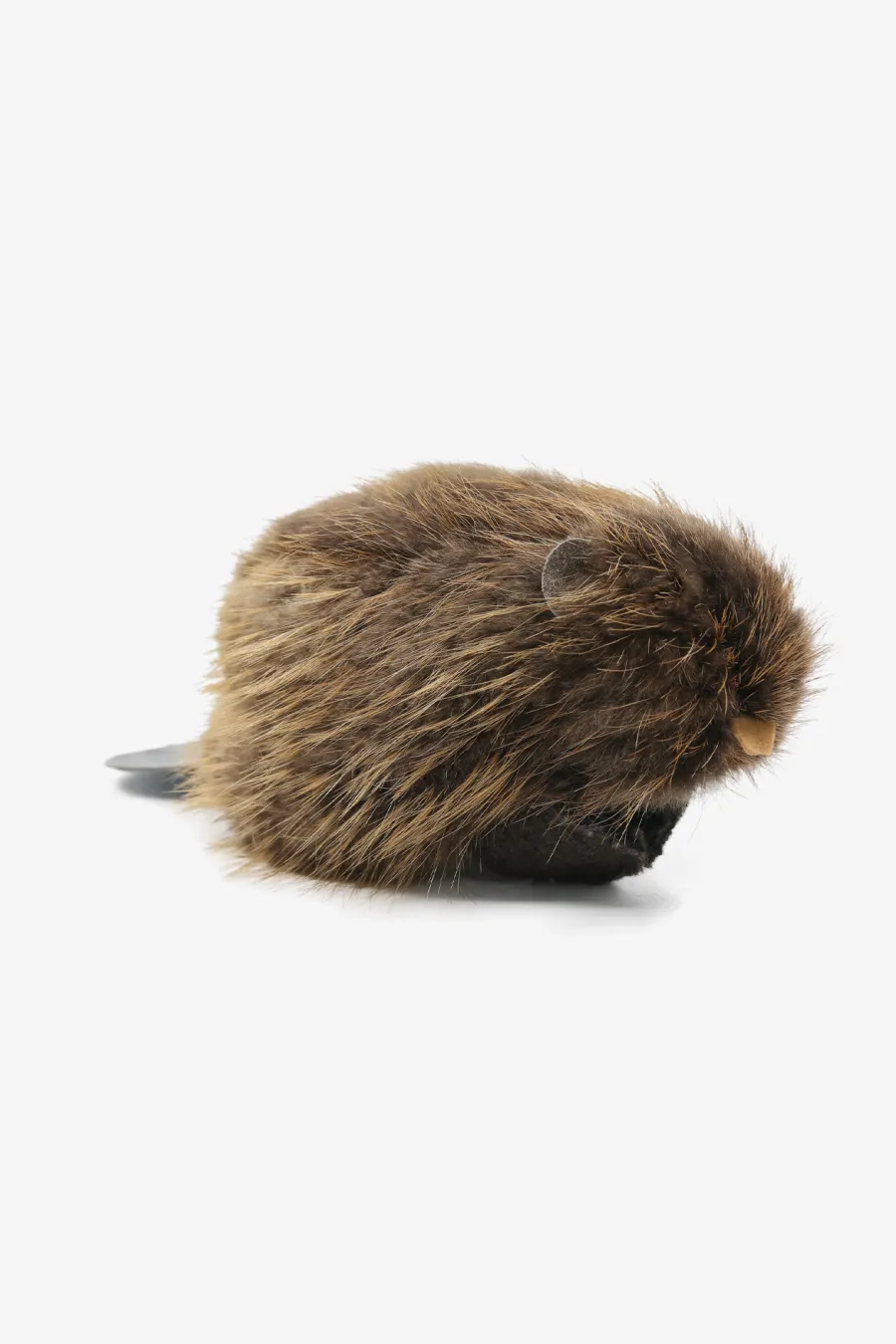 Peluche Castor naturel