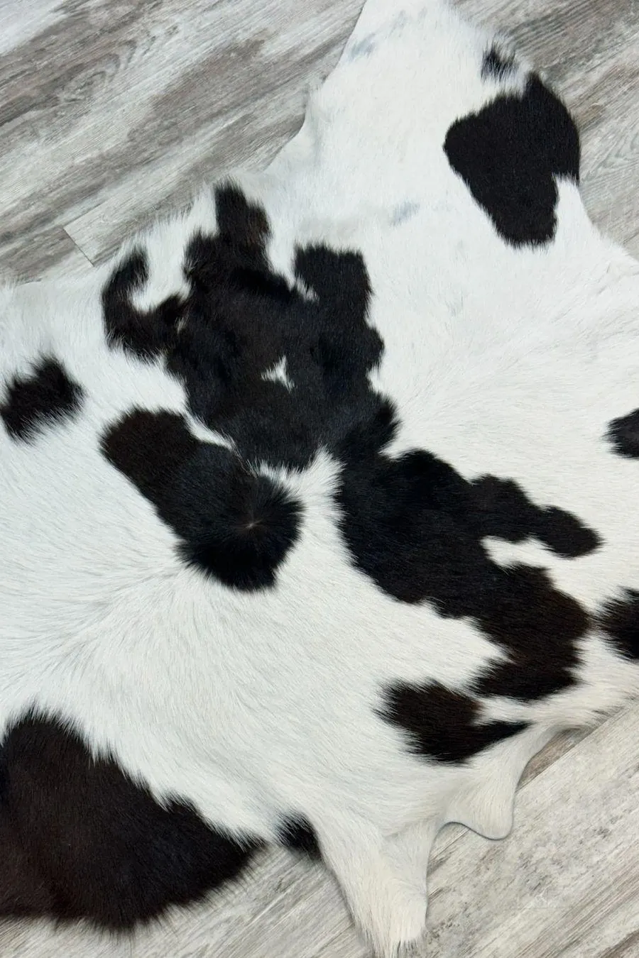 Peau de veau de vache  - 064