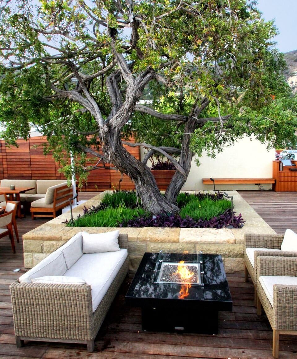 COOKE Custom Glass Fire Pit Windscreen, 3/16