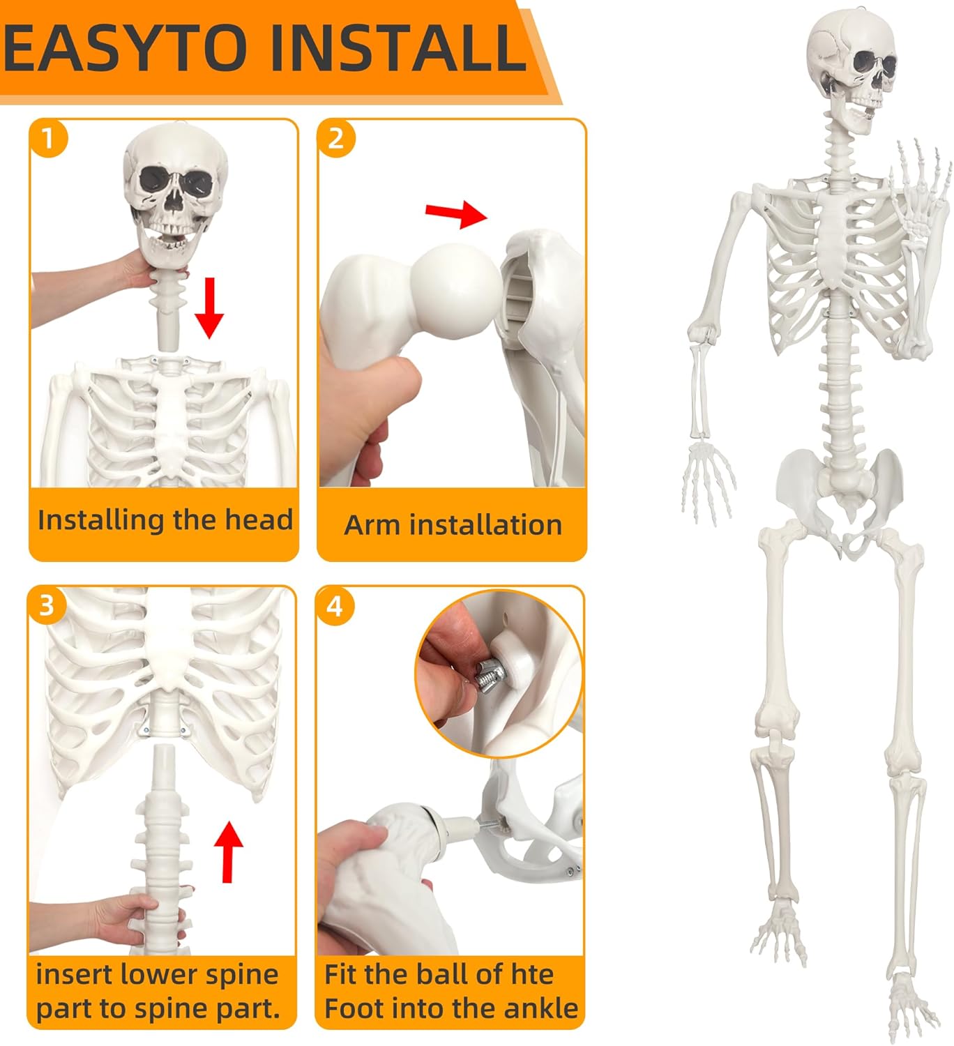 Lodou 1PC 7.9ft/240cm Halloween Giant Skeleton Full Body Realistic Human Bones with Adjustable Joints for Indoor Outdoor Halloween Decor