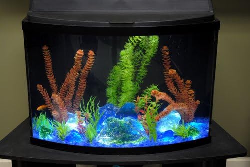 Pineapple Iridescent Pebble Firepit Glass Medium 22 Lb Bag