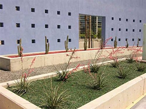 Turquoise Blue Landscape Glass - American Specialty Glass – Fireplace Glass, Landscaping Glass - 25 lbs, Medium