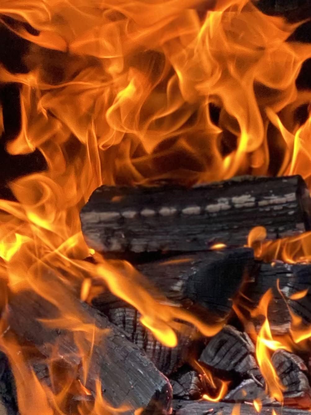 Smoak Firewood 12inch Length Premium Cooking Wood & Firewood Logs - Used for Grills, Smokers, Pizza ovens, firepits or fireplaces - USDA Certified Kiln Dried (White Oak - 12in pieces (45-50lbs))