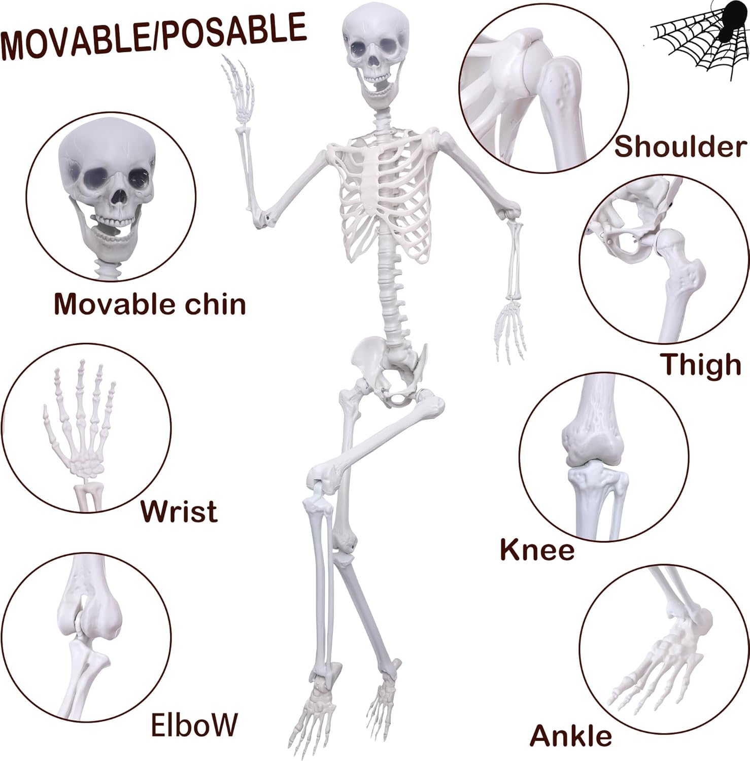 Halloween Skeleton Decorations,5.9Ft Life Size Skeleton 2PCS Posable Skeleton Full Size Plastic Human Skeleton with Movable Joint for Halloween Outdoor Indoor Decor (Grey, 5.9Ft)