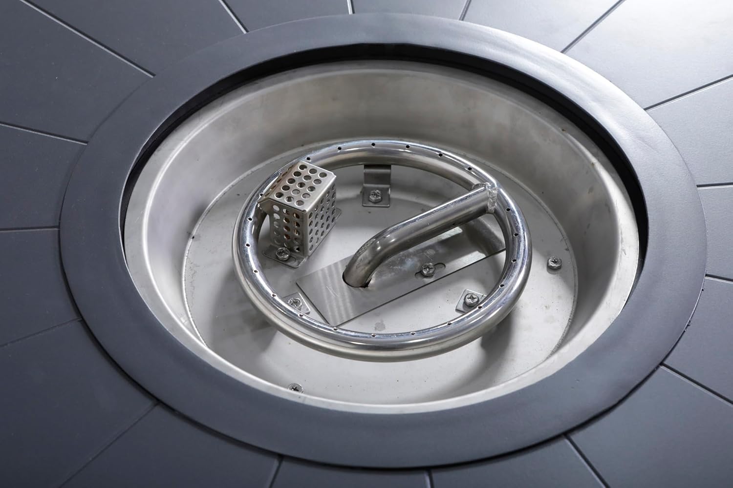 Living Source International 25