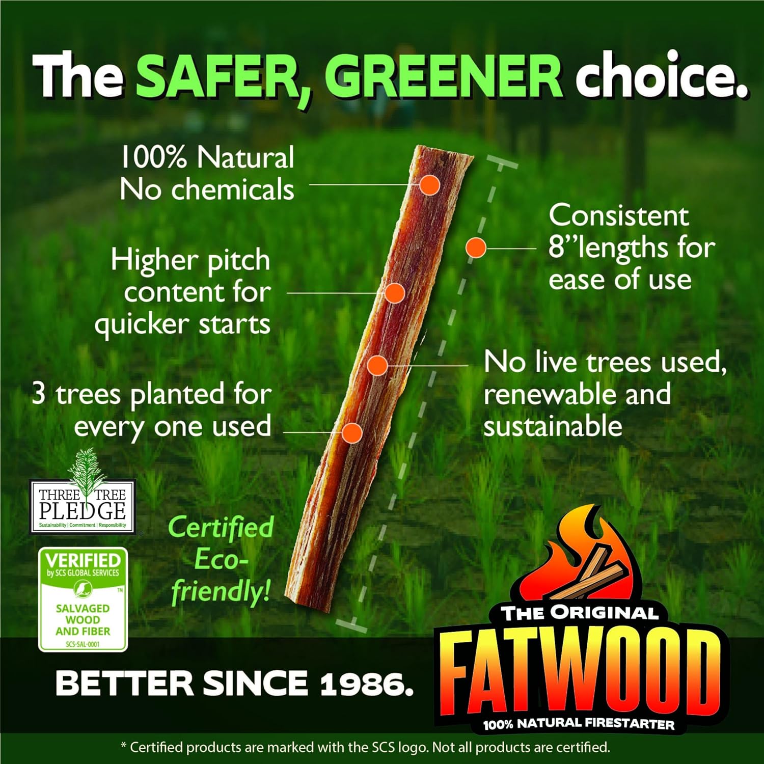 Betterwood 10lb Fatwood Natural Pine Firestarter (4 Pack) for Campfire, BBQ, or Pellet Stove; Non-Toxic and Water Resistant