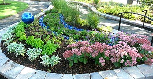 Turquoise Blue Landscape Glass - American Specialty Glass – Fireplace Glass, Landscaping Glass - 25 lbs, Medium