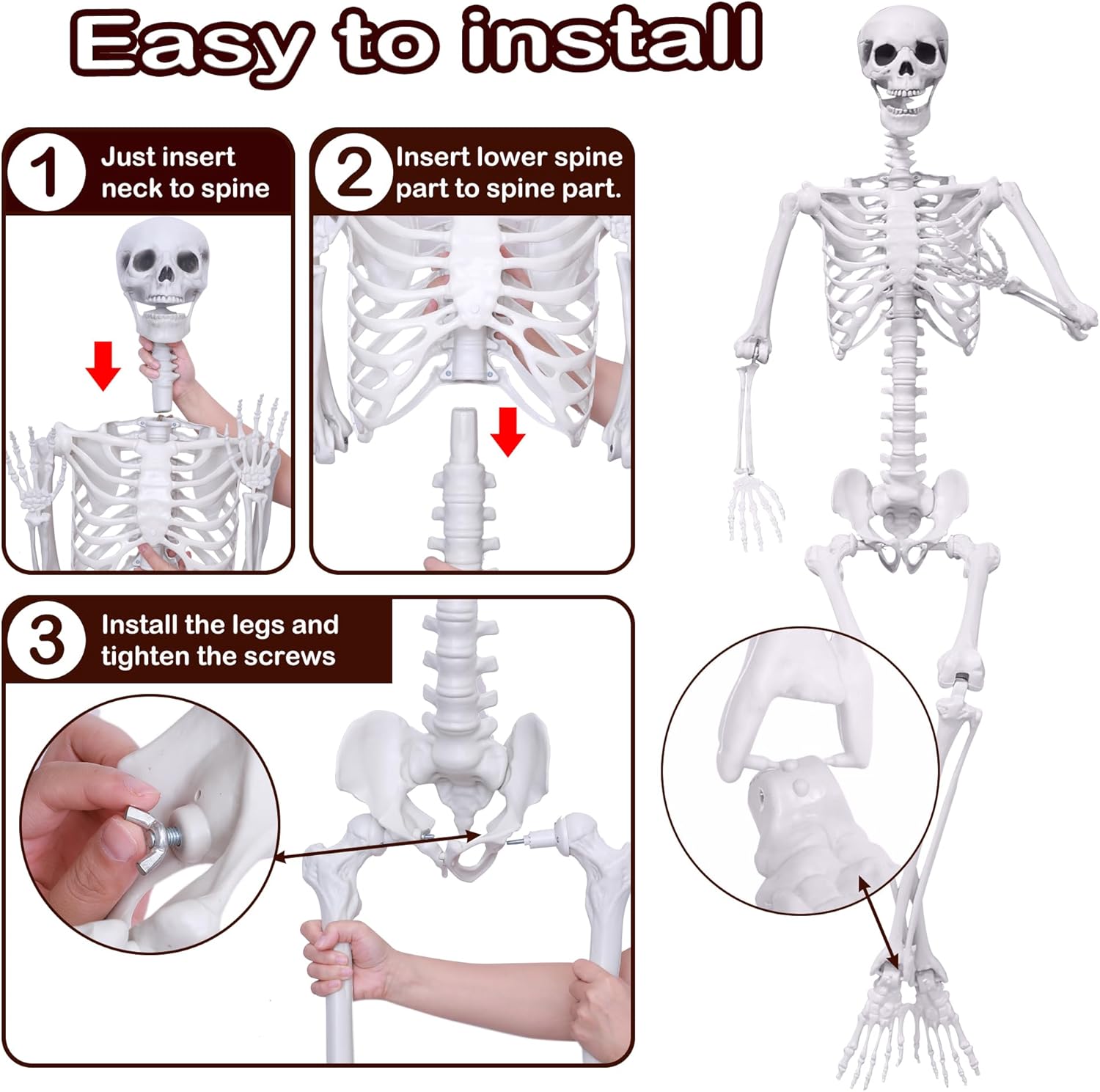 Halloween Skeleton Decorations,5.9Ft Life Size Skeleton 2PCS Posable Skeleton Full Size Plastic Human Skeleton with Movable Joint for Halloween Outdoor Indoor Decor (Grey, 5.9Ft)