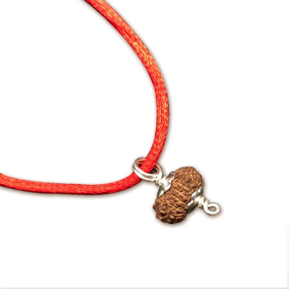 15 Mukhi Rudraksha Pendant from Java (Indonesia) 15mm-17mm Medium Size IGL Lab Certified Original Geniune 100% Natural.