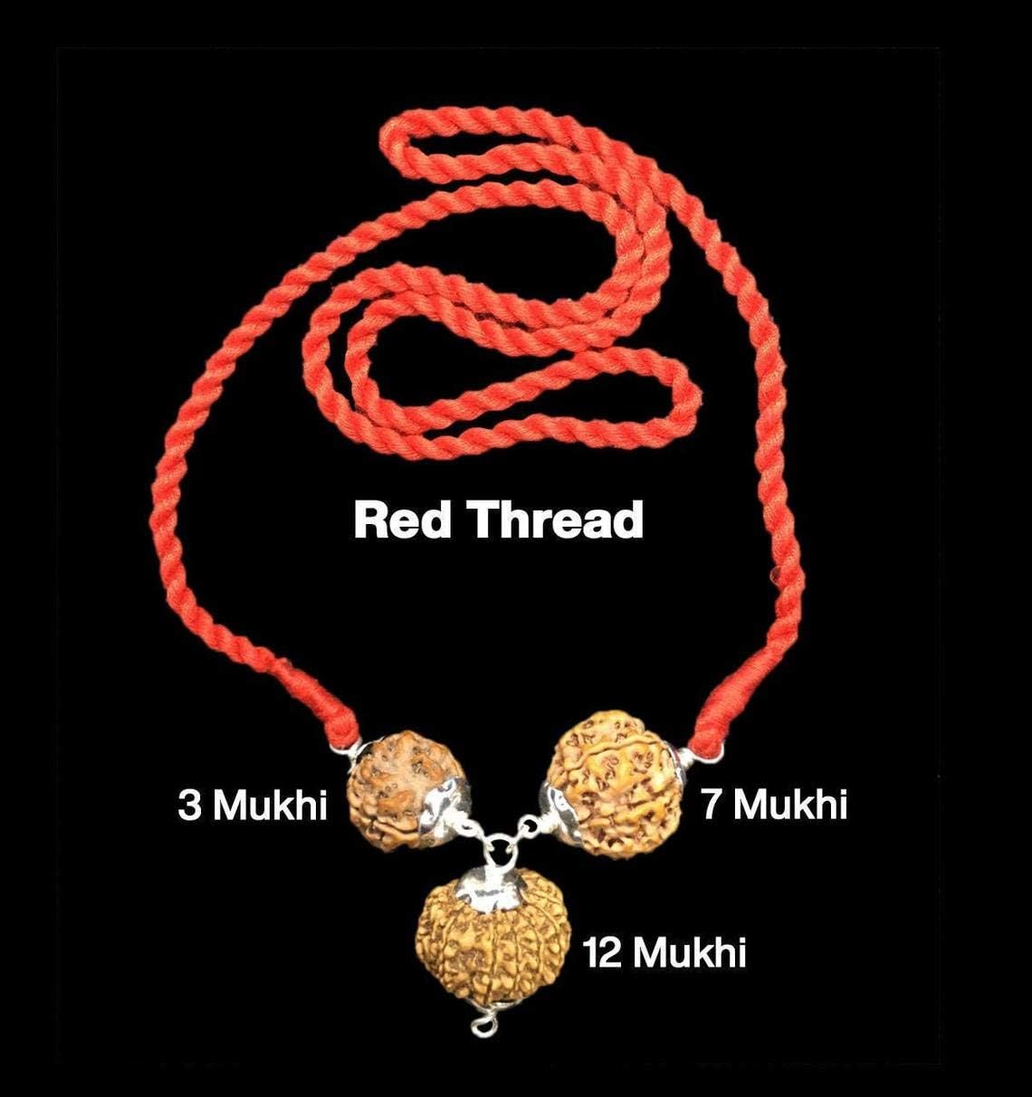 Rudraksha Combination for Career 3,7,12 Mukhi Nepal in Silver Pendant IGL Lab Certified Original Genuine Beads (Medium)