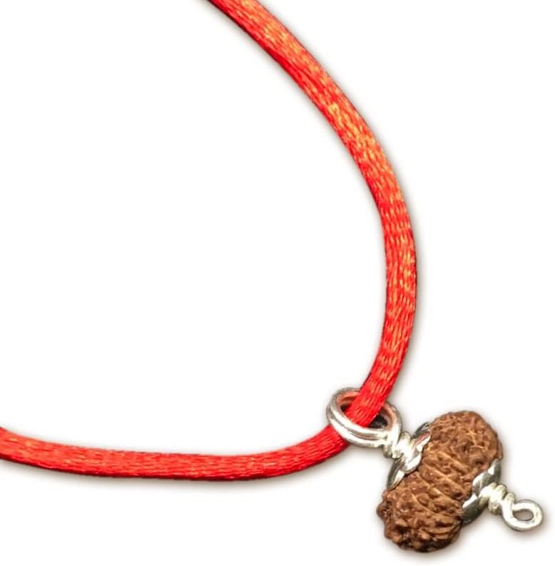 15 Mukhi Indonesian Rudraksha /Fifteen Face Java/ Lord Pashupati In Pure Silver Pendant IGL Certified 100% Original Geniune Bead All Size