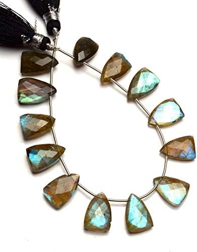 GEMZ 8 inch Strand of Natural Labradorite Trillion Shape Faceted Cut Gray Color briollete Beads for DIY Jewelry Making- Earring Necklace Bracelet.