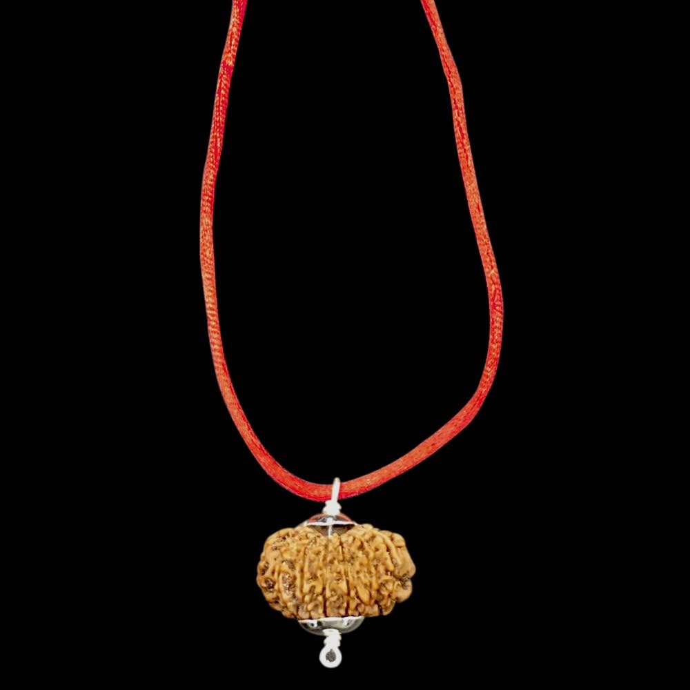 11 Mukhi Nepal Rudraksha /Eleven Face/ Lord Hanuman In Pure Silver Pendant IGL Certified 100% Original Geniune Bead All Size