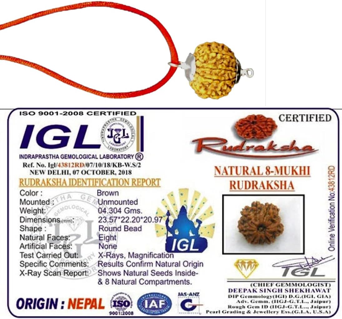 Natural 8 Mukhi Rudraksha From Nepal In Pure 925 Silver Pendant IGL Certified (Collector 26mm-28mm)