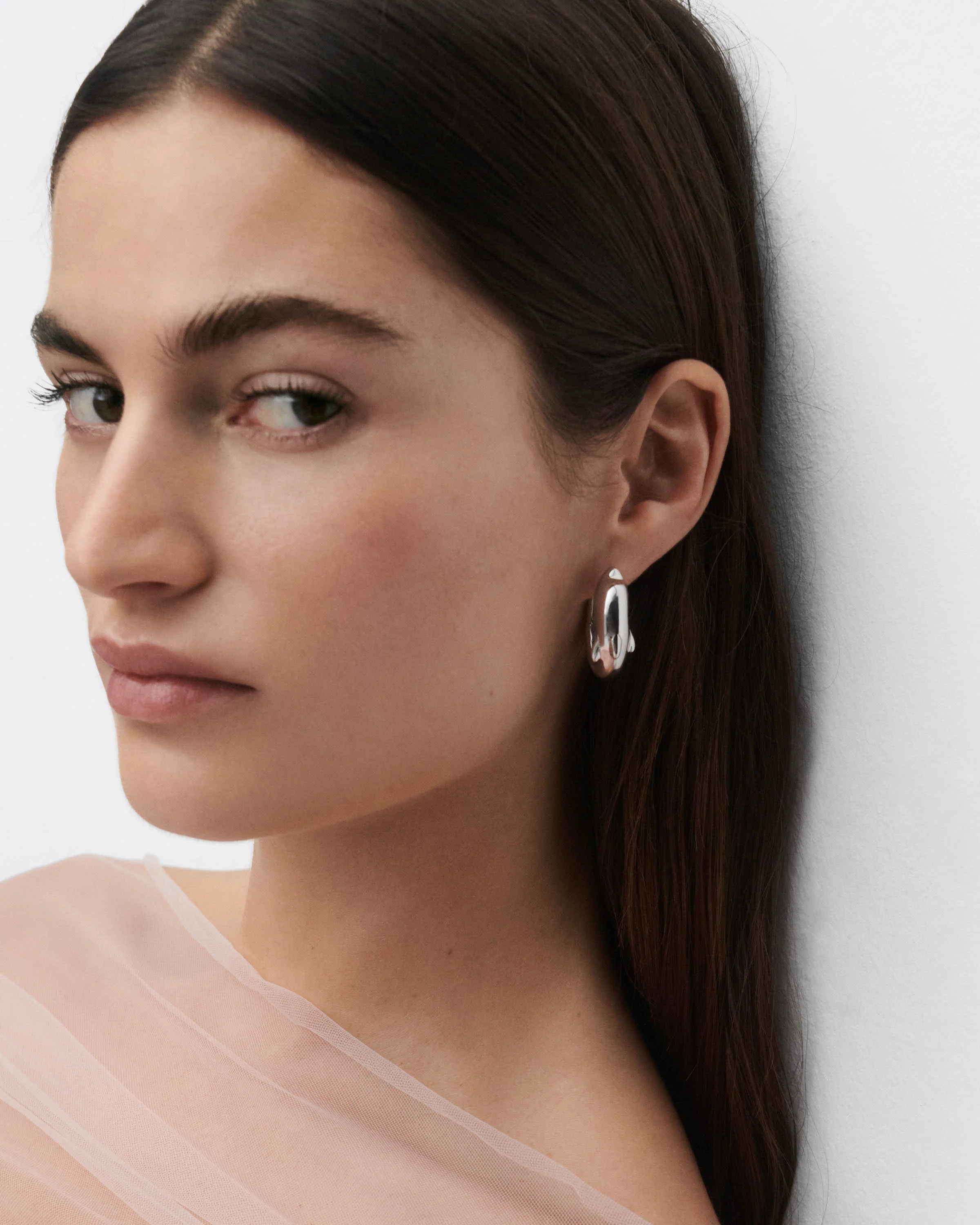 Dolphin silver hoops