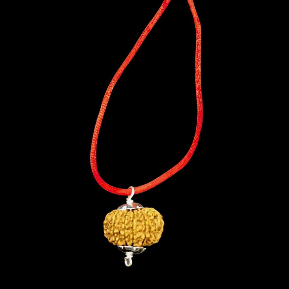13 Mukhi Nepal Rudraksha/Thirteen Face/Lord Kamadeva in Pure Silver Pendant IGL Certified 100% Original Geniune Bead All Size (Rare 30mm-32mm)