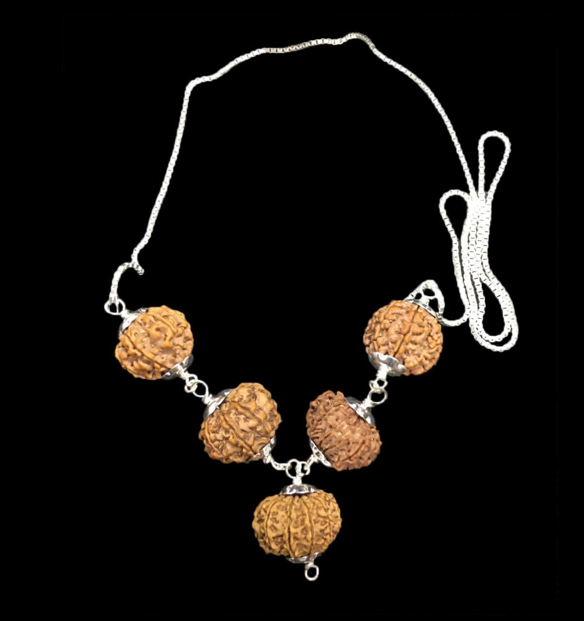 Rudraksha Combination for Business Power (Executives & Businessmen) 7,7,8,11,12 Mukhi Nepal in Silver Chain IGL Lab Certified (Collecter)