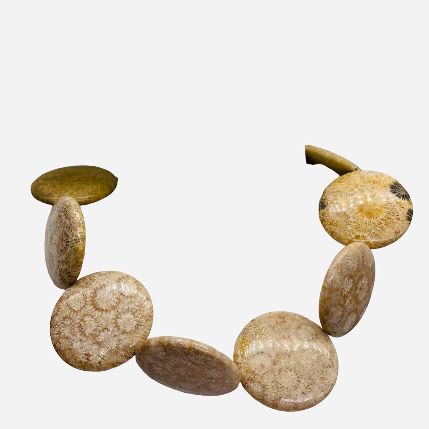 Fossilized Coral 35mm Coin Pendant Bead Strand 109156 for Jewelry Making