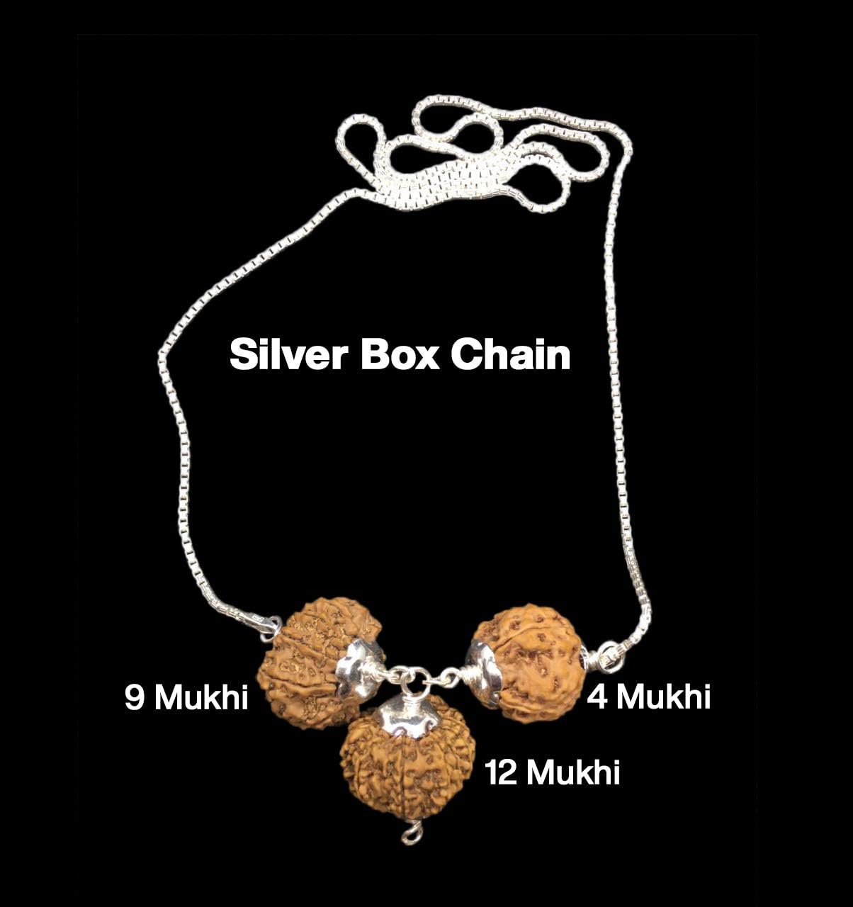 Rudraksha Combination for Doctors 4,9,12 Mukhi Nepal in Silver Chain IGL Lab Certified Original Genuine Beads (Medium)