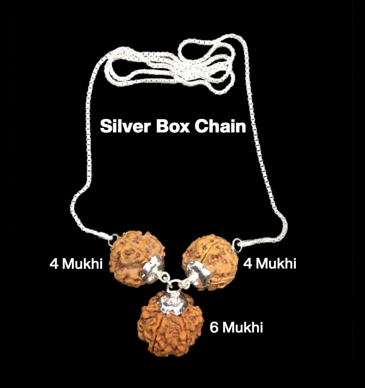 Rudraksha Combination for Students 4,4,6 Mukhi Nepal in Silver Chain IGL Lab Certified Original Genuine Beads (Small)