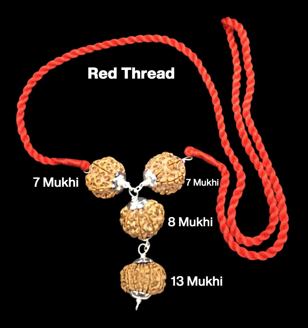 Rudraksha Combination for Business Power (Marketing & Trading) 7,7,8,13 Mukhi Nepal in Silver Pendant IGL Lab Certified Original (Collecter)